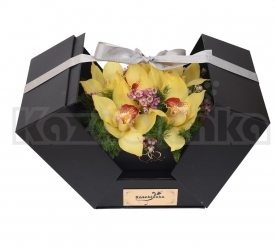 Orhideje u kutiji "iznenađenja"