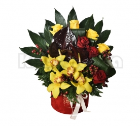 Ruže, anturijum i orhideje u kutiji